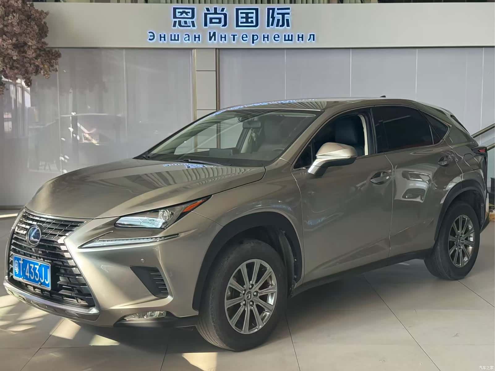 Lexus NX, 2021 1