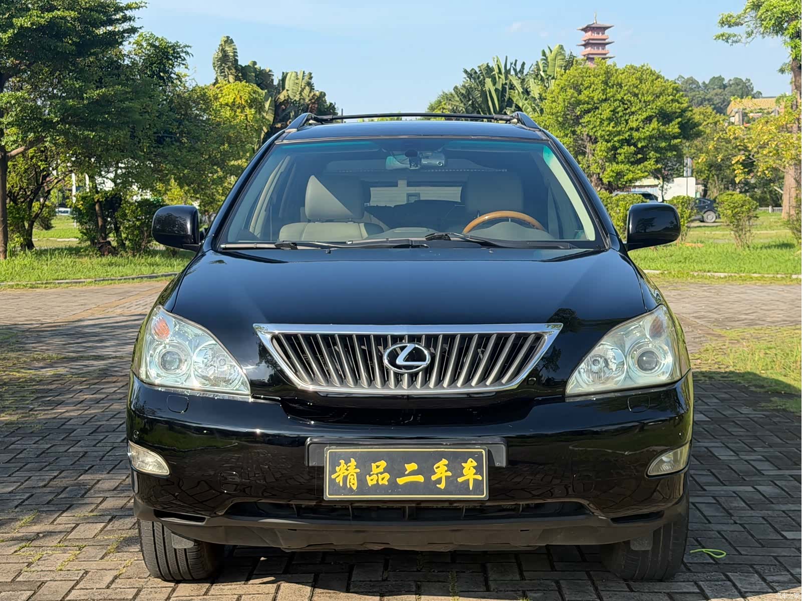 Lexus RX, 2007 3