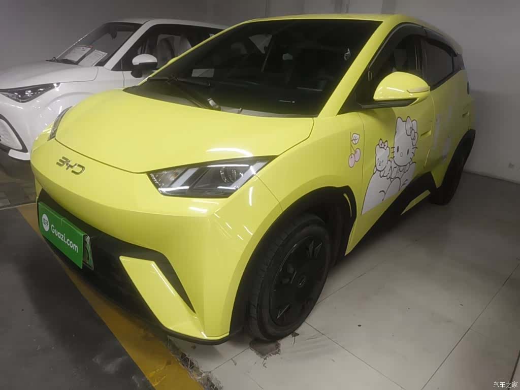 BYD Seagull, 2024 1