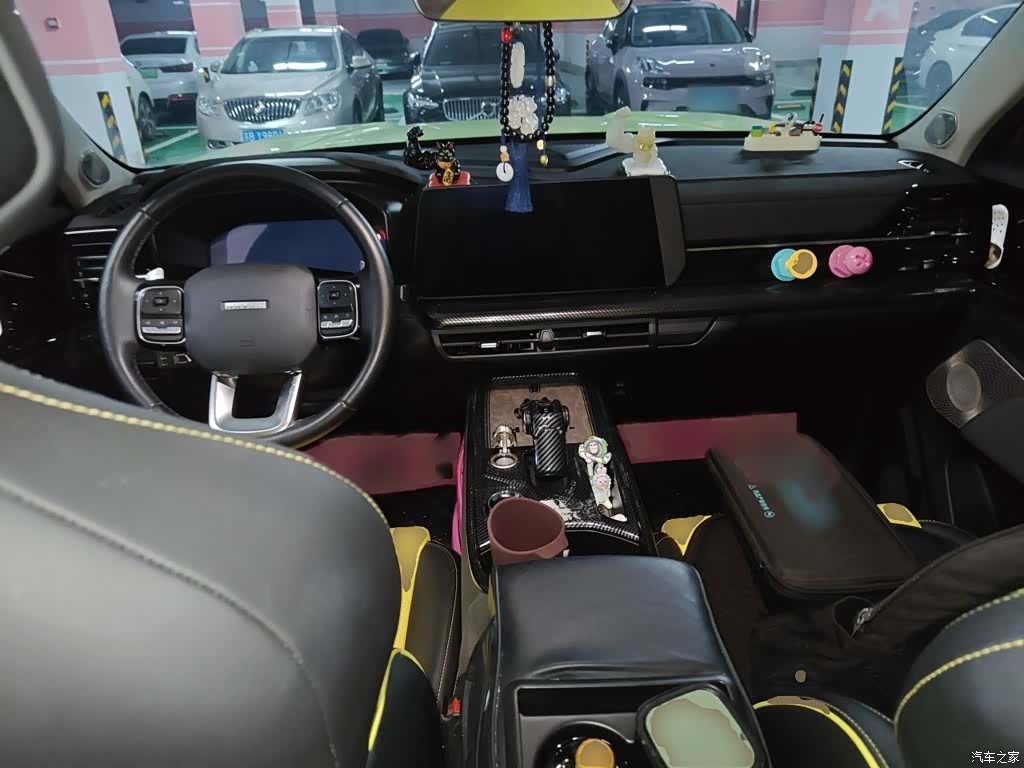 Haval Cool Dog, 2023 13