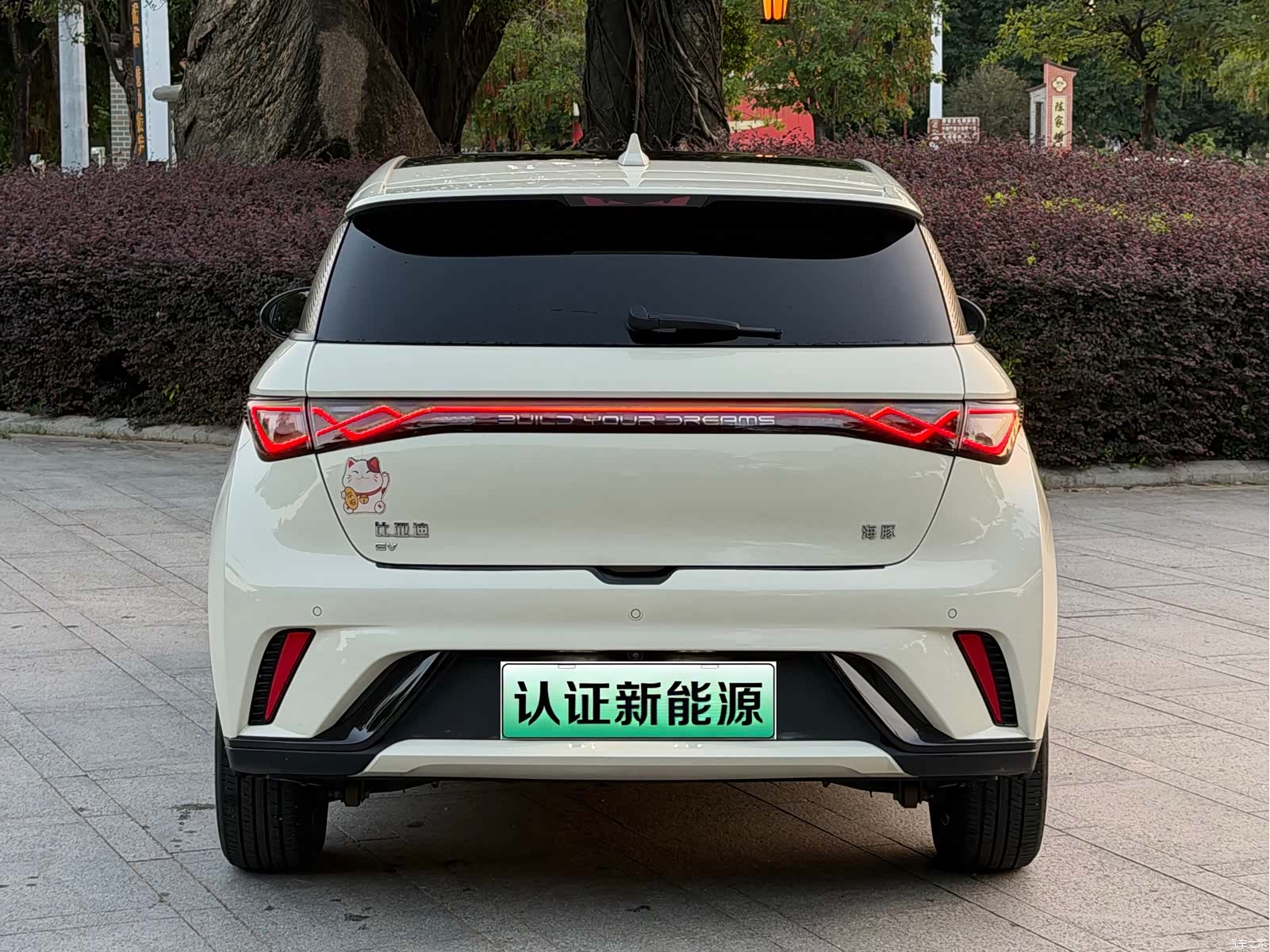 BYD Dolphin, 2024 16