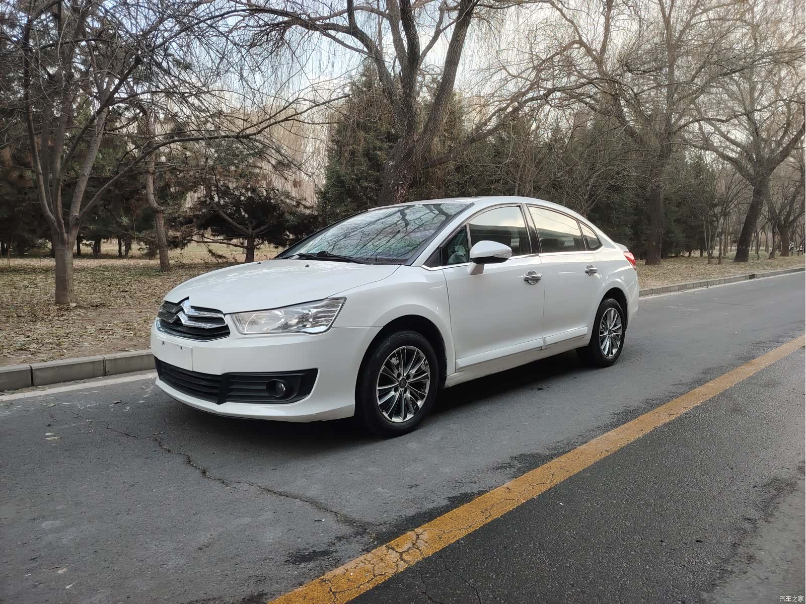 Citroen VTS, 2015 1