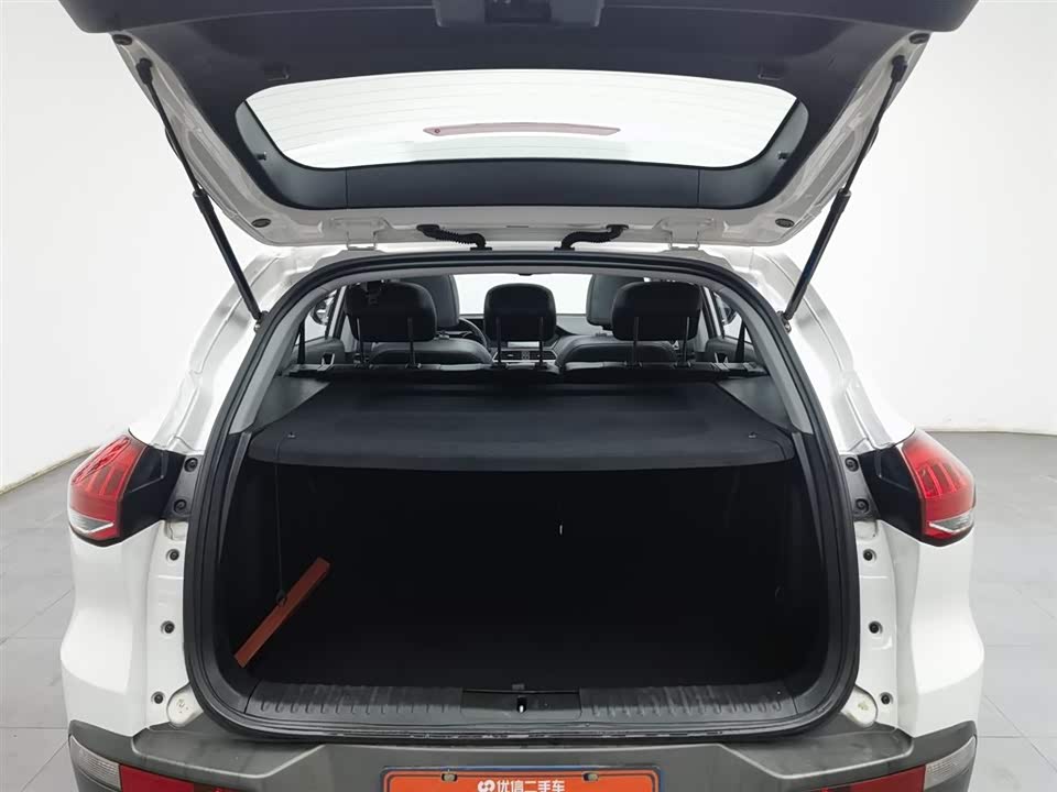 Leopaard Cheetah CS10