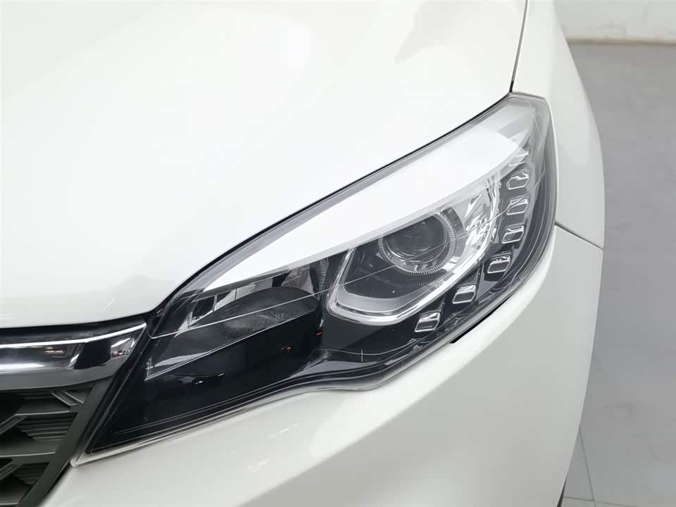 Leopaard Cheetah CS10