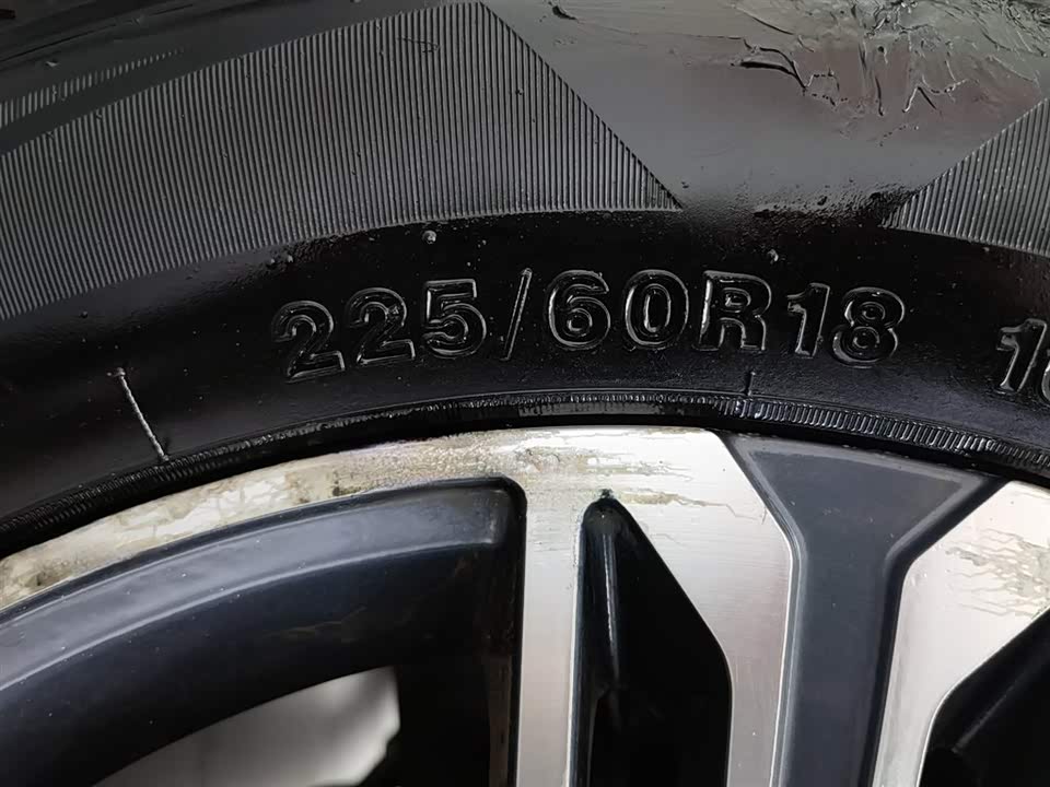 Leopaard Cheetah CS10