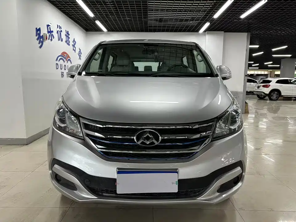 MAXUS Chase G10