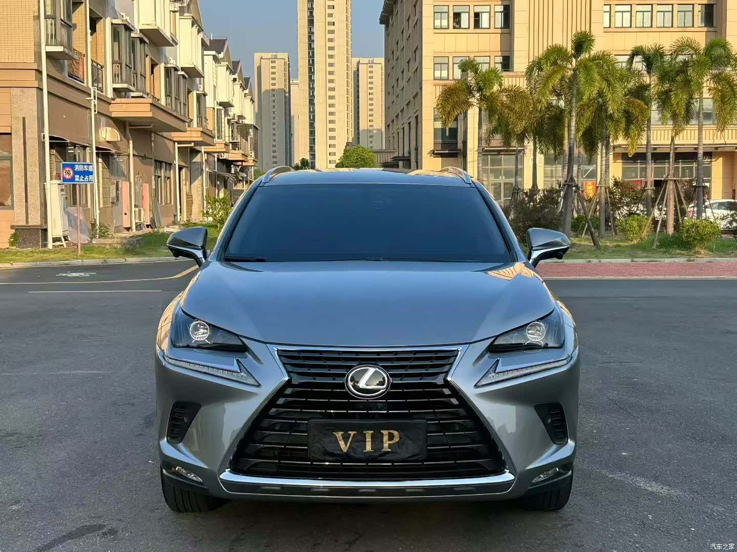 Lexus NX, 2019 2