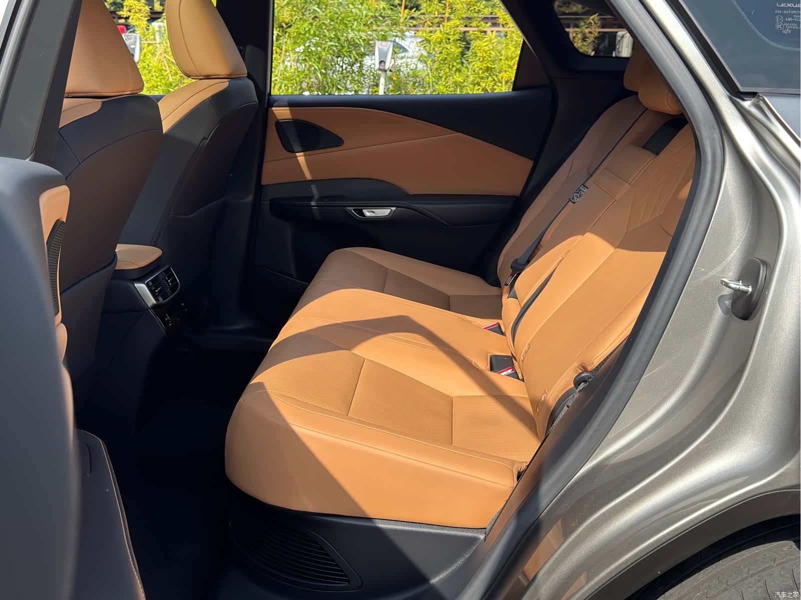Lexus RX, 2023 все фото