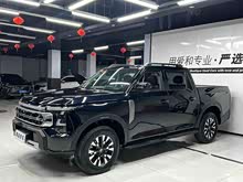 ֣���ղ�Z9 2025�� 2.3T �Զ������������������