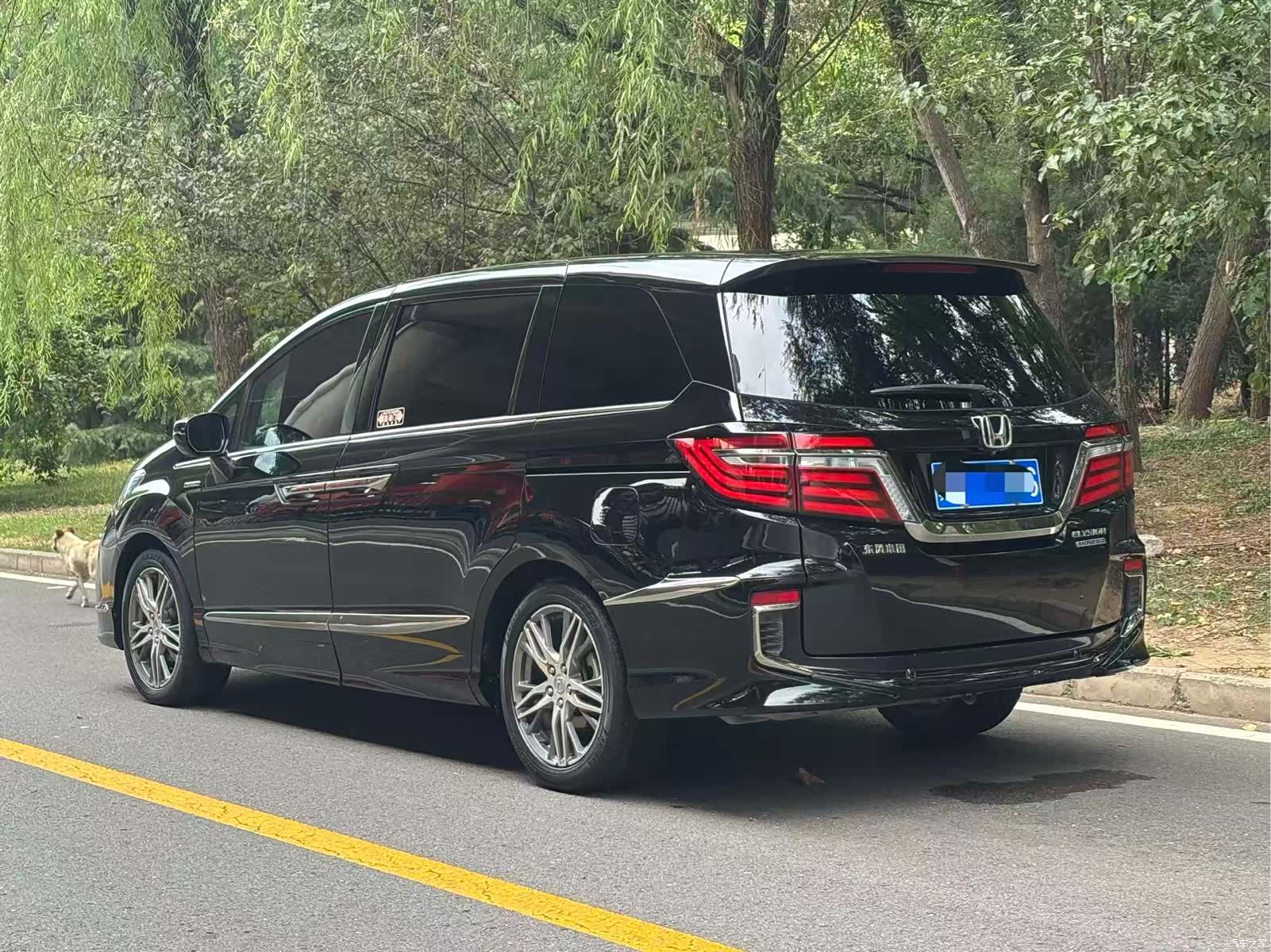 Honda Elysion, 2020 4