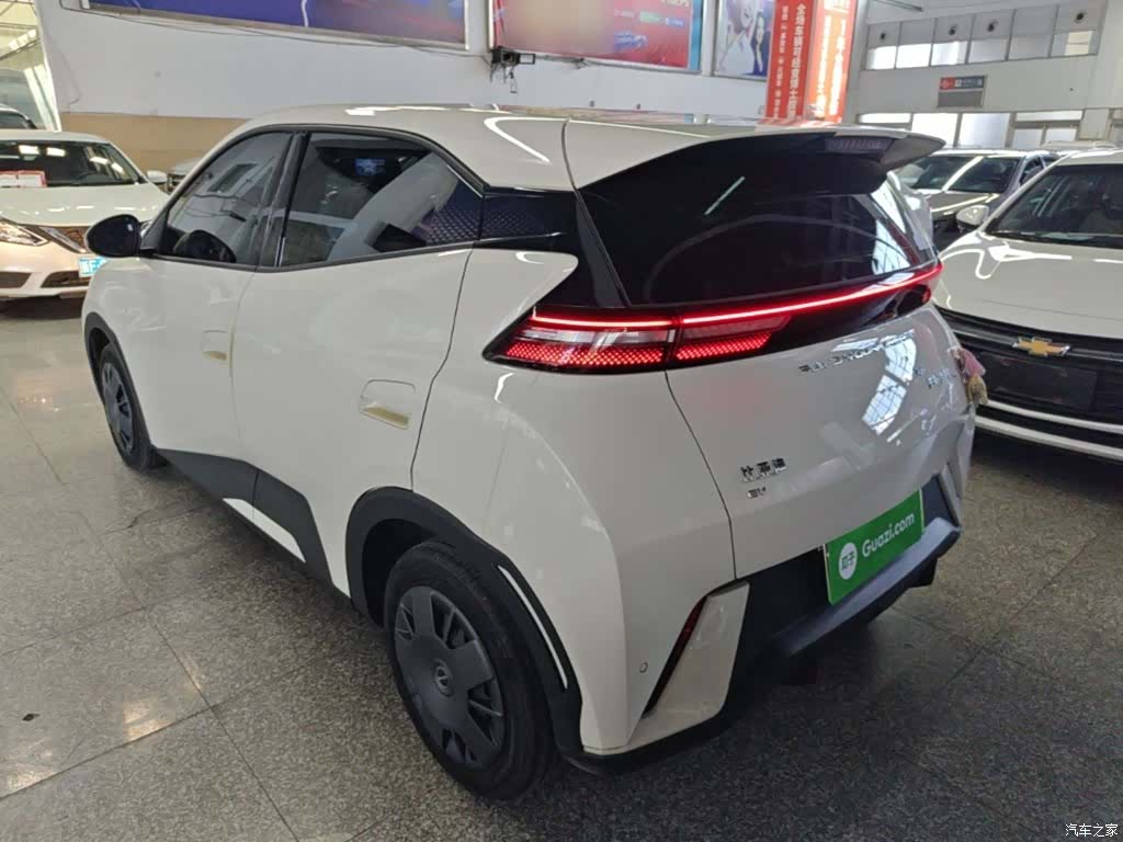 BYD Seagull, 2024 все фото