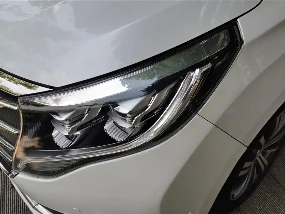 Trumpchi Trumpchi M8