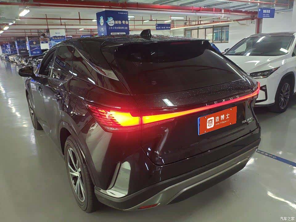 Lexus RX, 2025 все фото