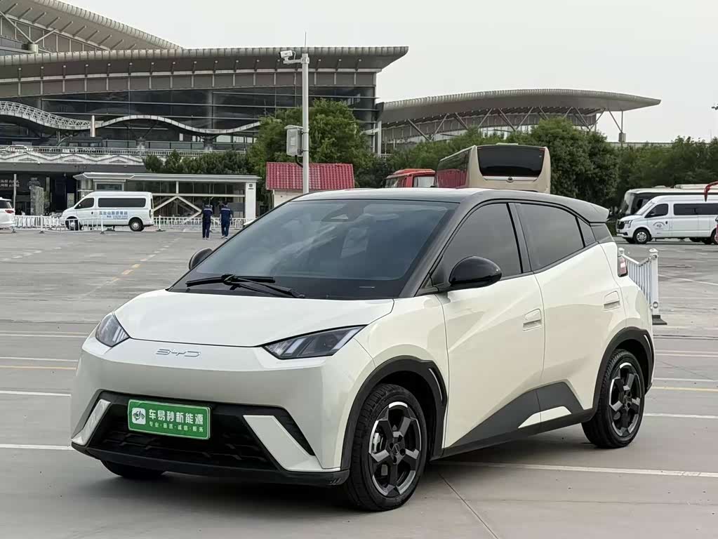 BYD Seagull