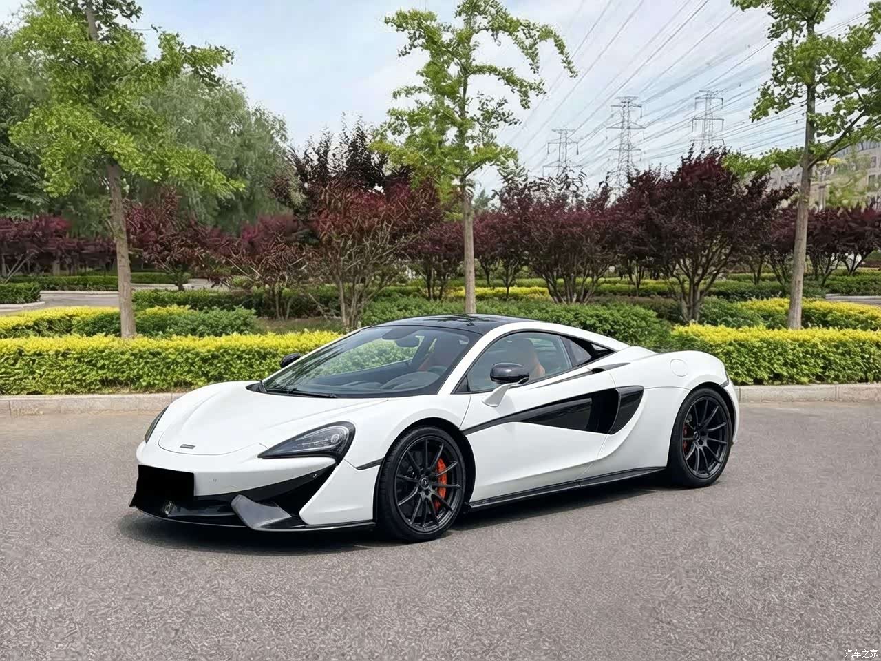 McLaren P1