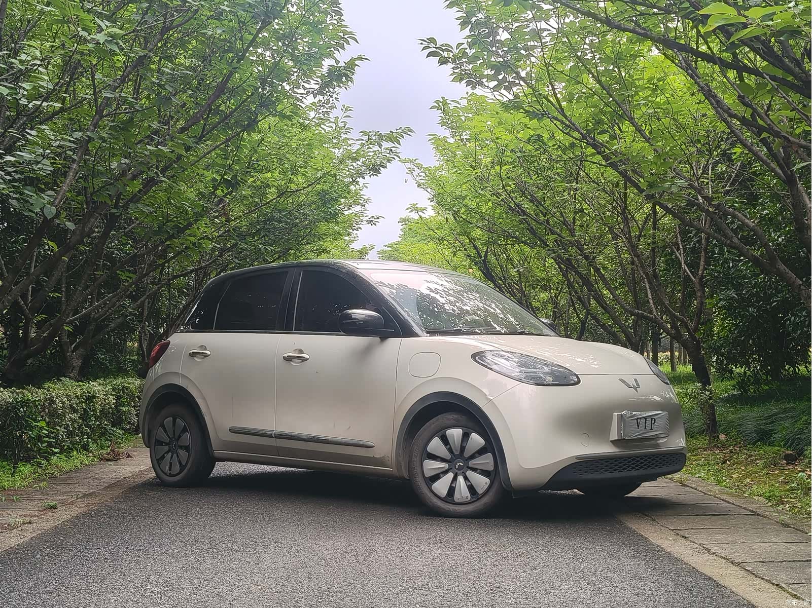 Wuling Bingo, 2024 6