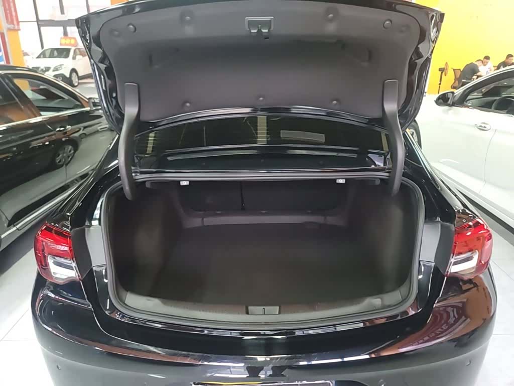 Buick Regal, 2023 19