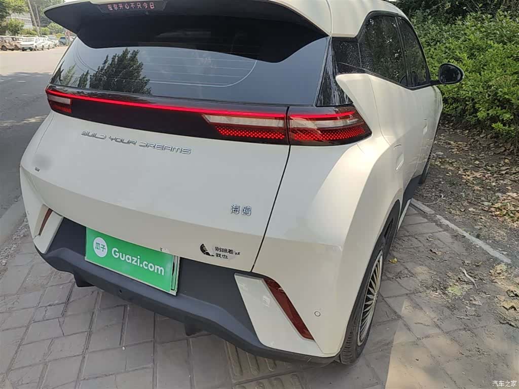 BYD Seagull, 2024 8