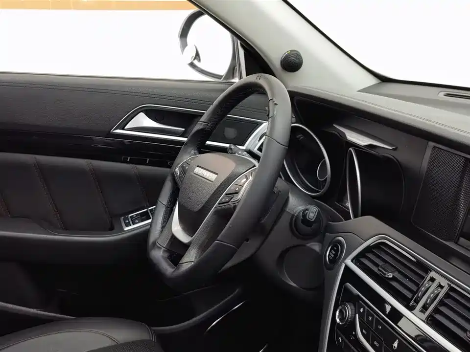 Leopaard Cheetah CS10