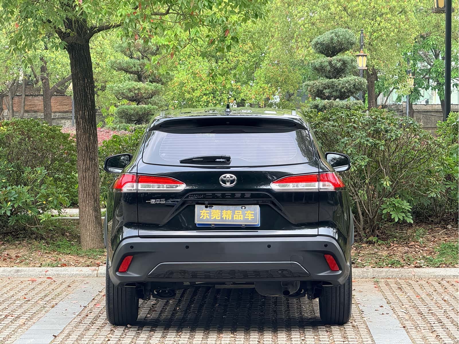 Toyota Corolla, 2023 все фото
