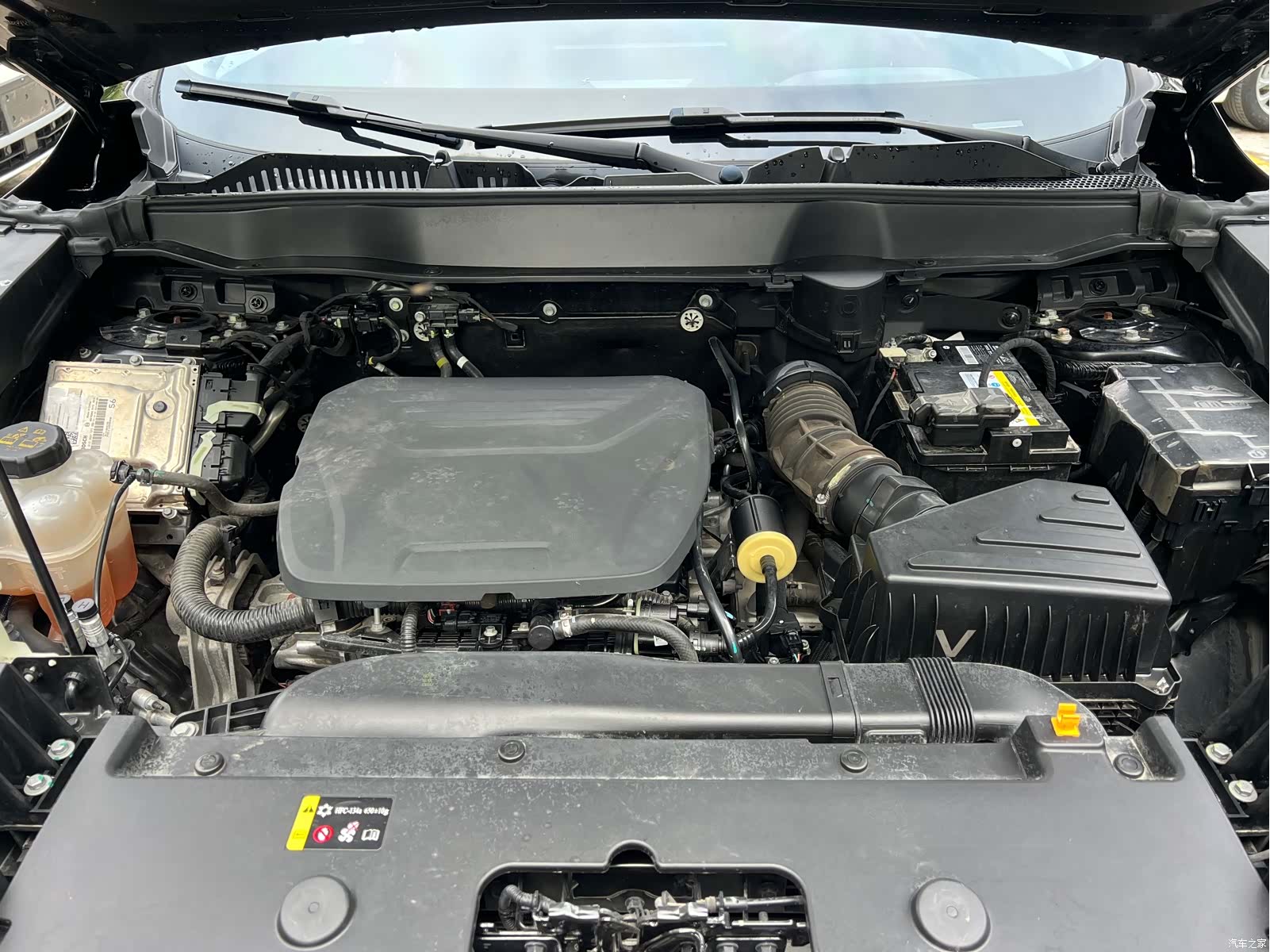 Haval H6, 2024 все фото