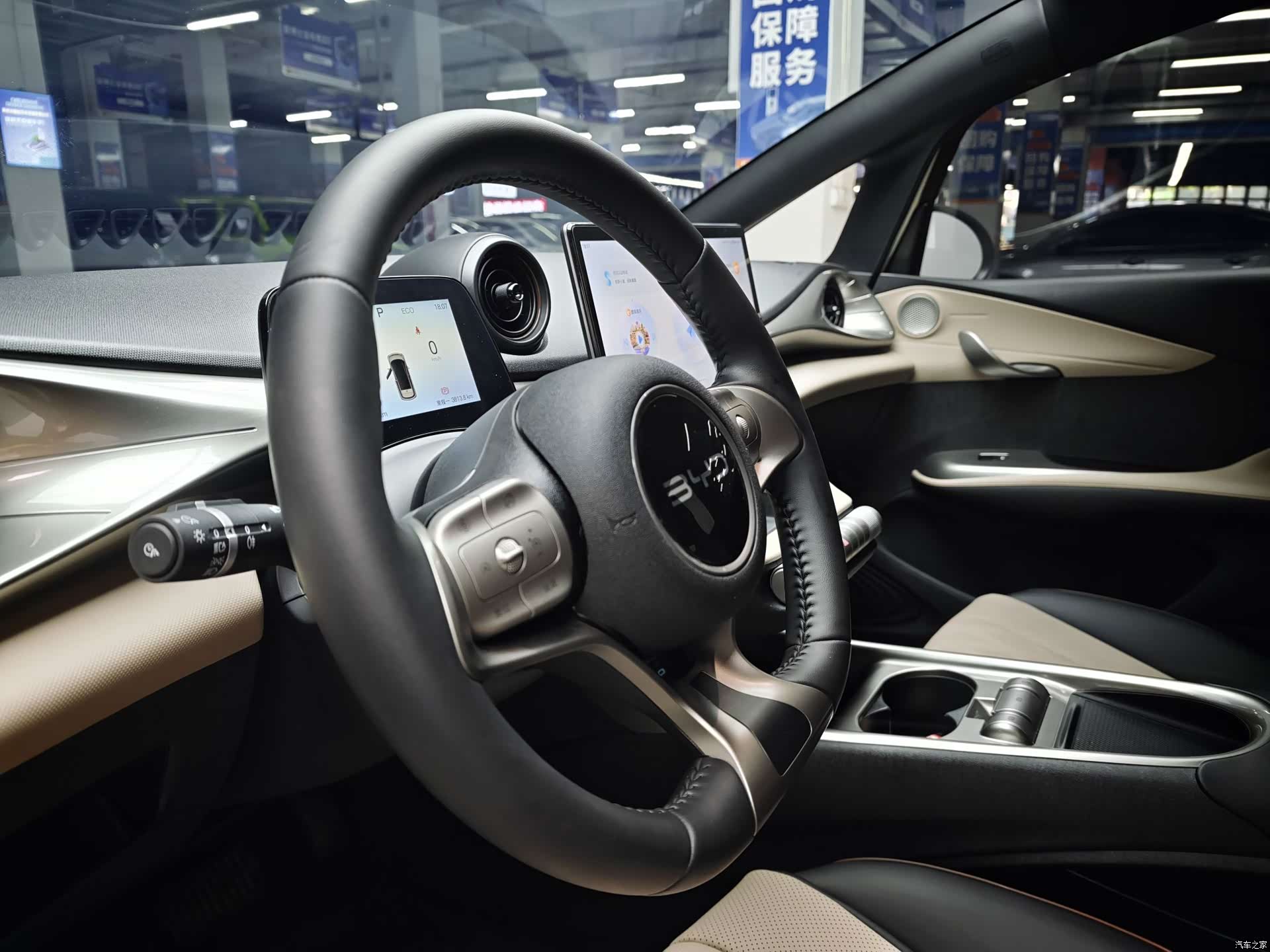 BYD Dolphin, 2025 8