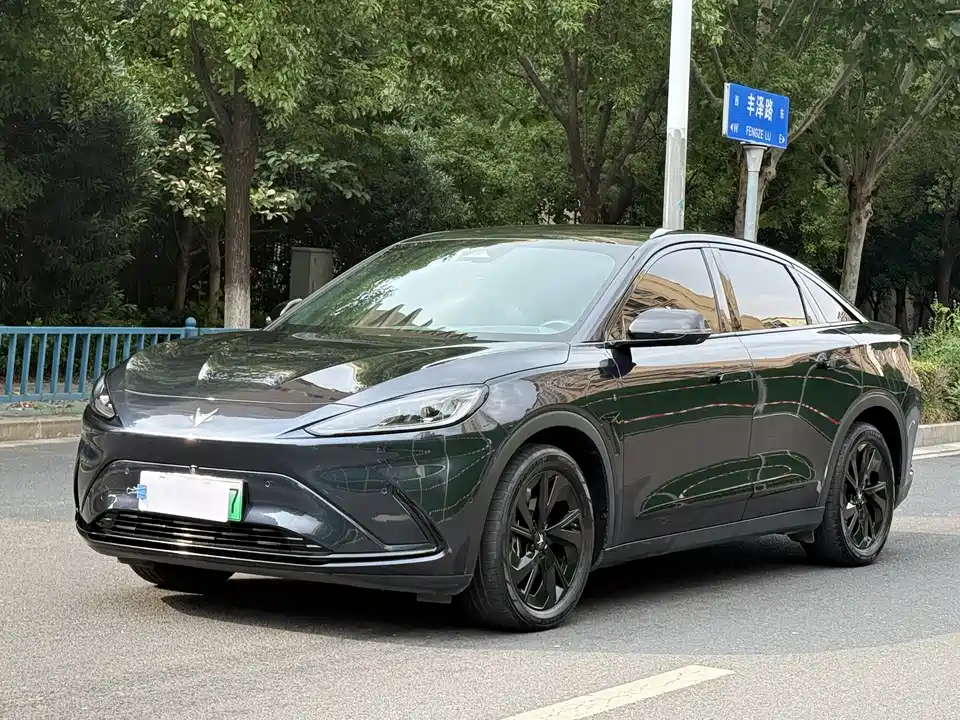 ARCFOX Polar Fox Alpha S