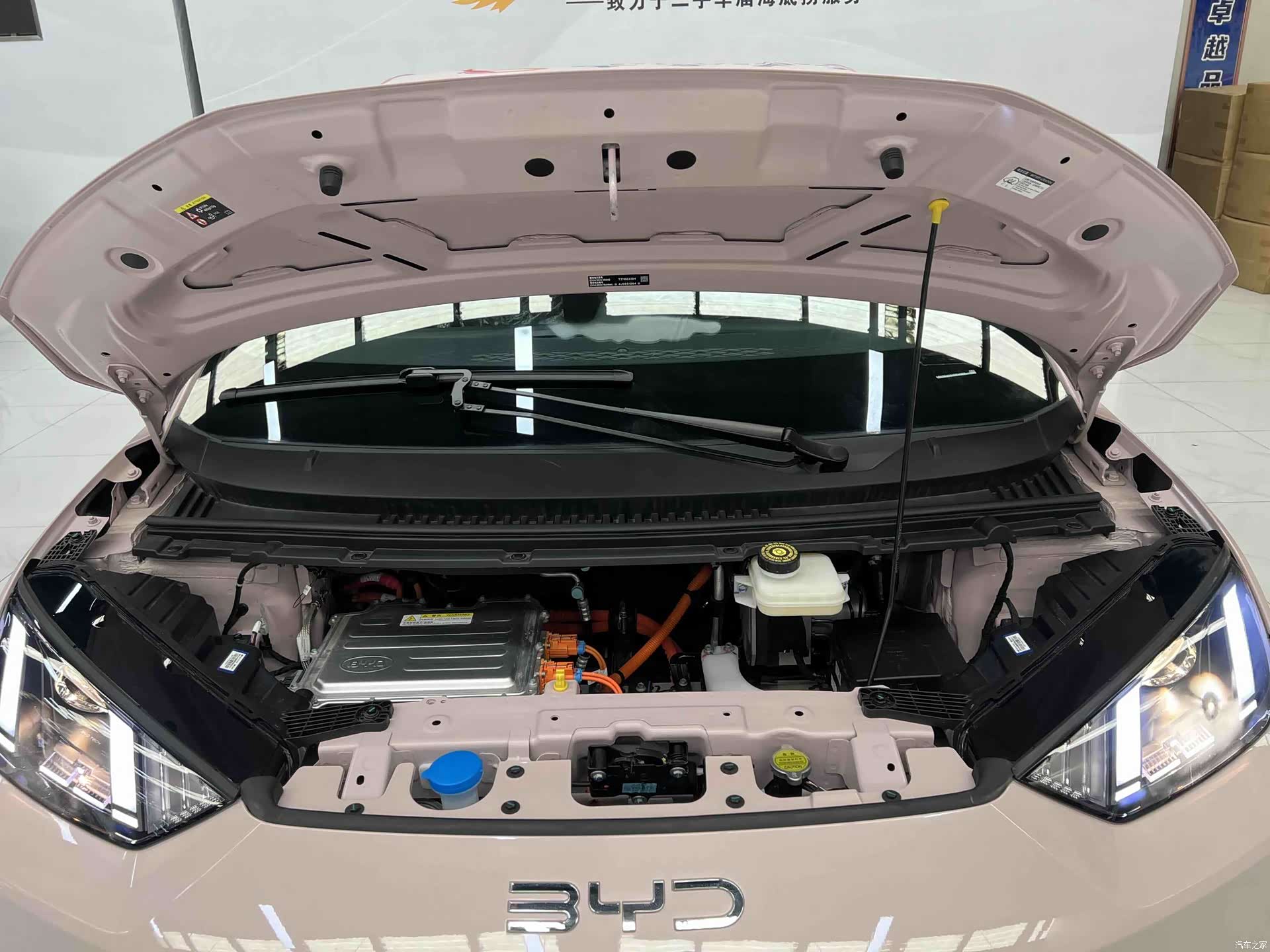 BYD Seagull, 2026 16