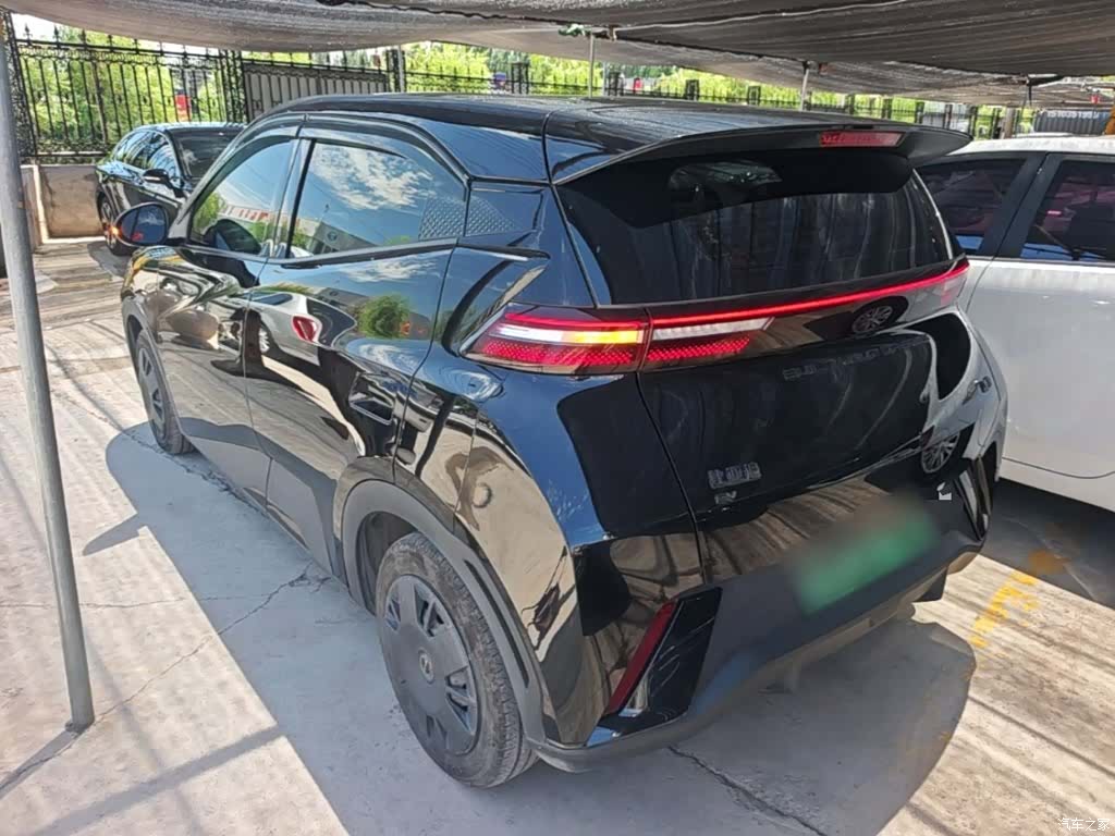 BYD Seagull, 2024 все фото