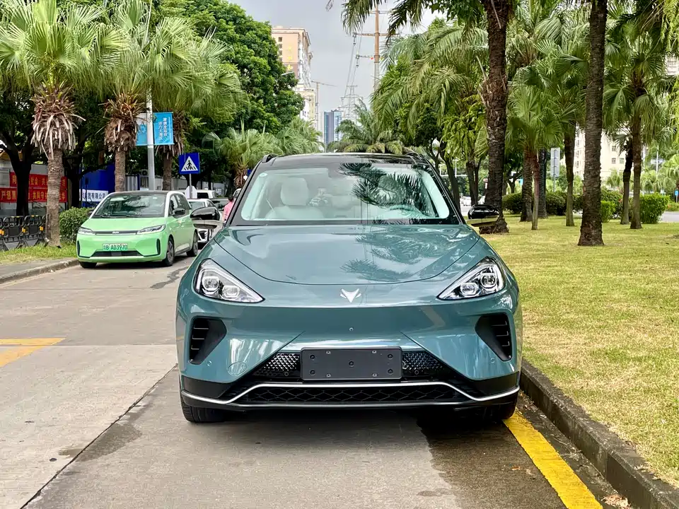 ARCFOX Polar Fox Alpha T