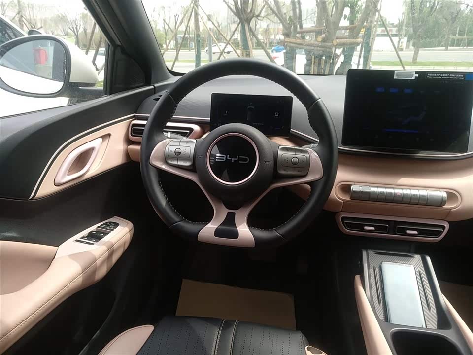 BYD Seagull BYD Seagull
