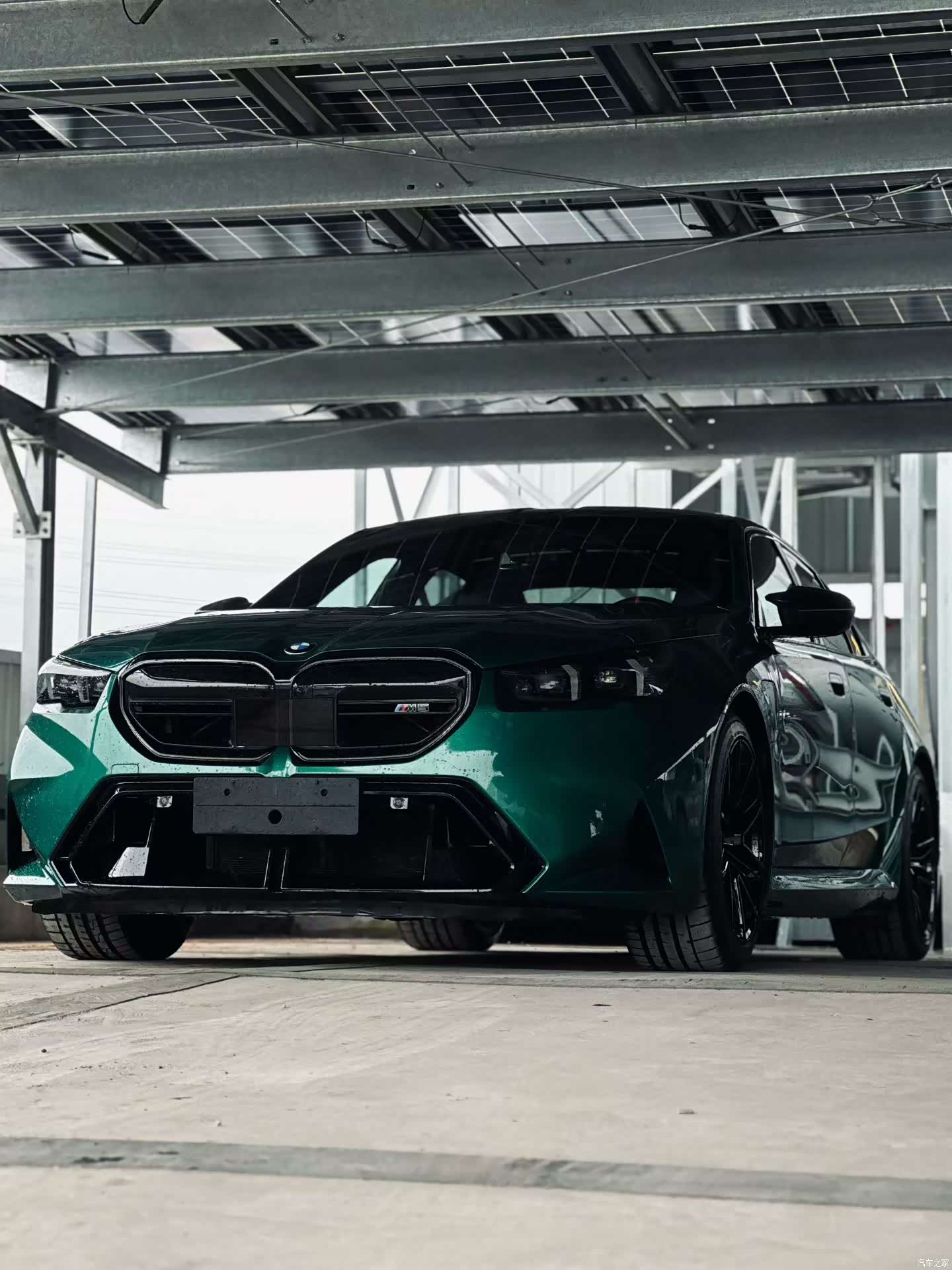 BMW M5, 2024 2