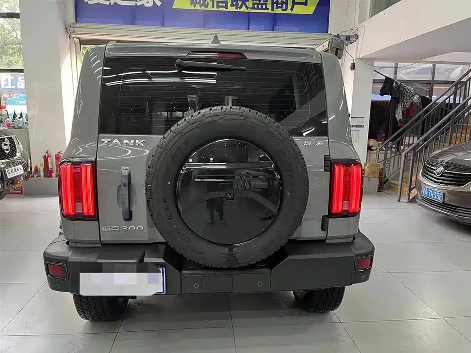 Tank 300