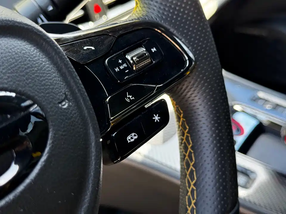 Trumpchi Shadow Leopard