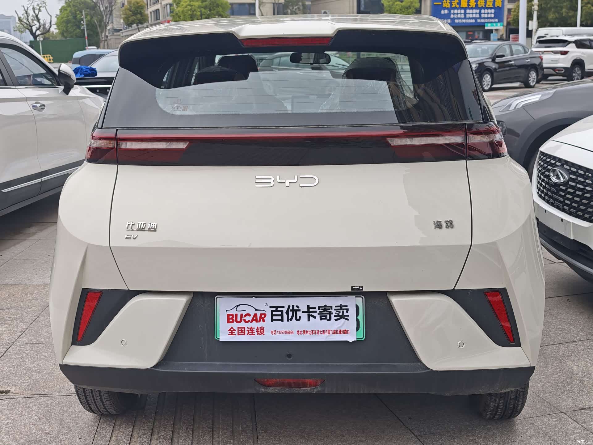 BYD Seagull, 2026 все фото