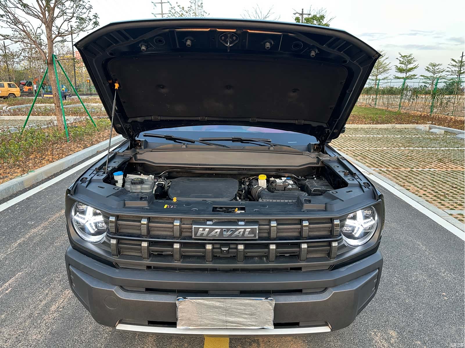 Haval Cool Dog, 2022 все фото