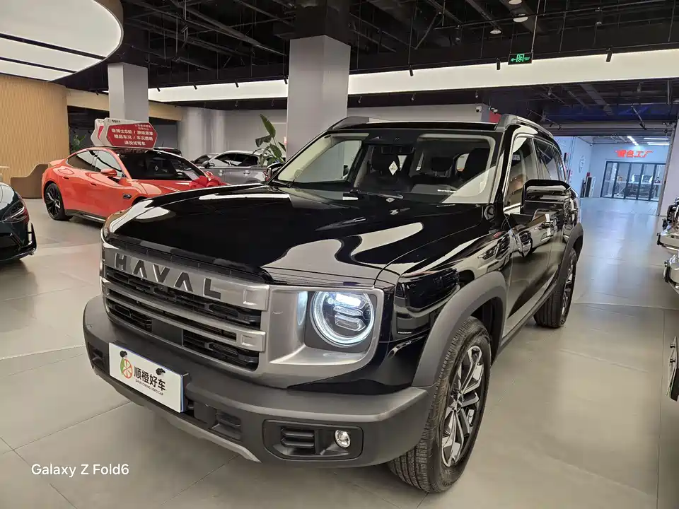 Haval Big dog
