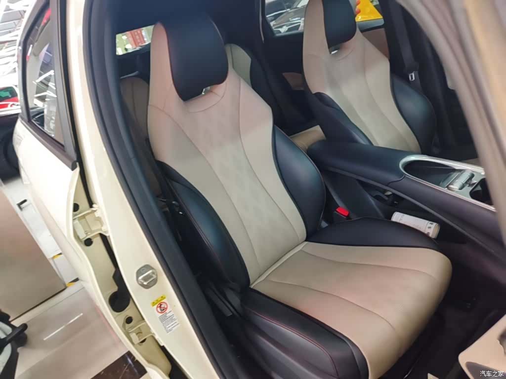 BYD Dolphin, 2024 25