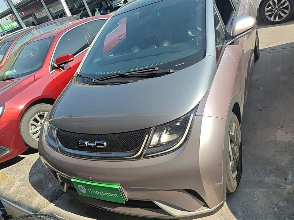 BYD dolphin