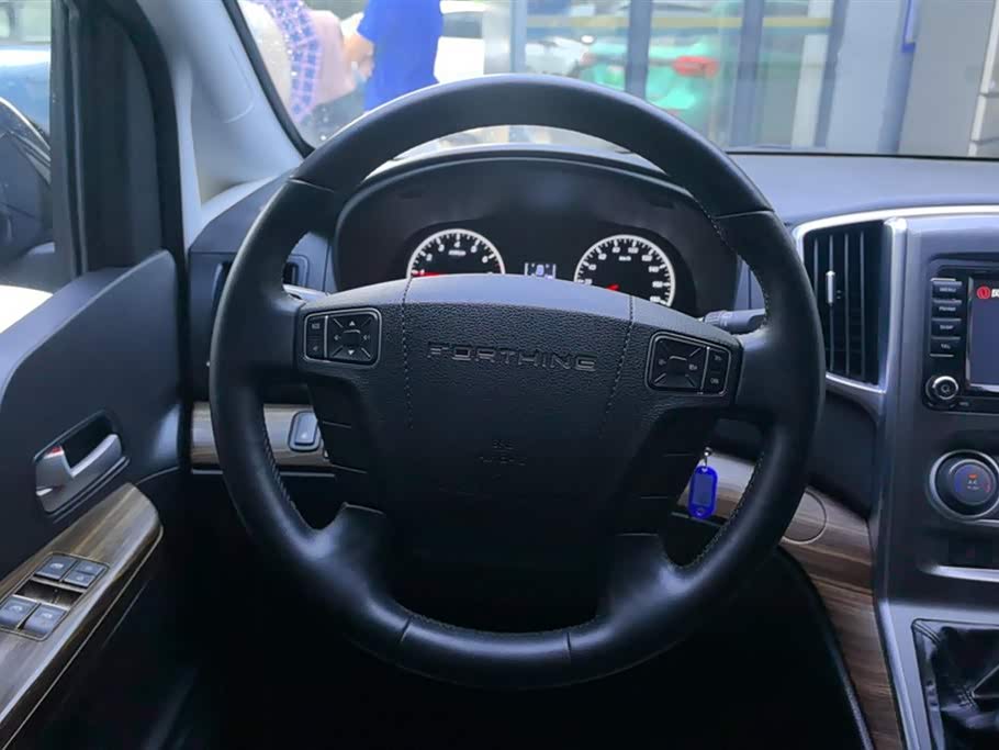 Forthing Lingzhi PLUS