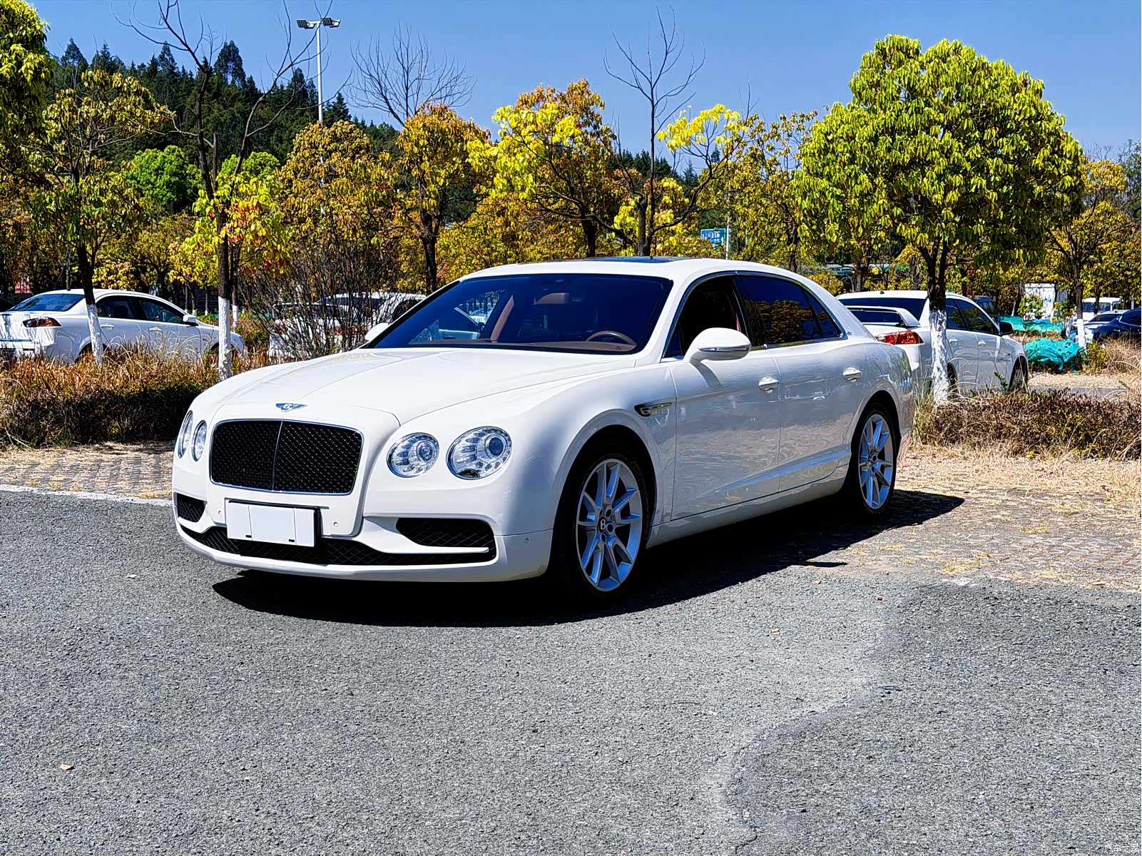 Bentley Flying Spur, 2020 3