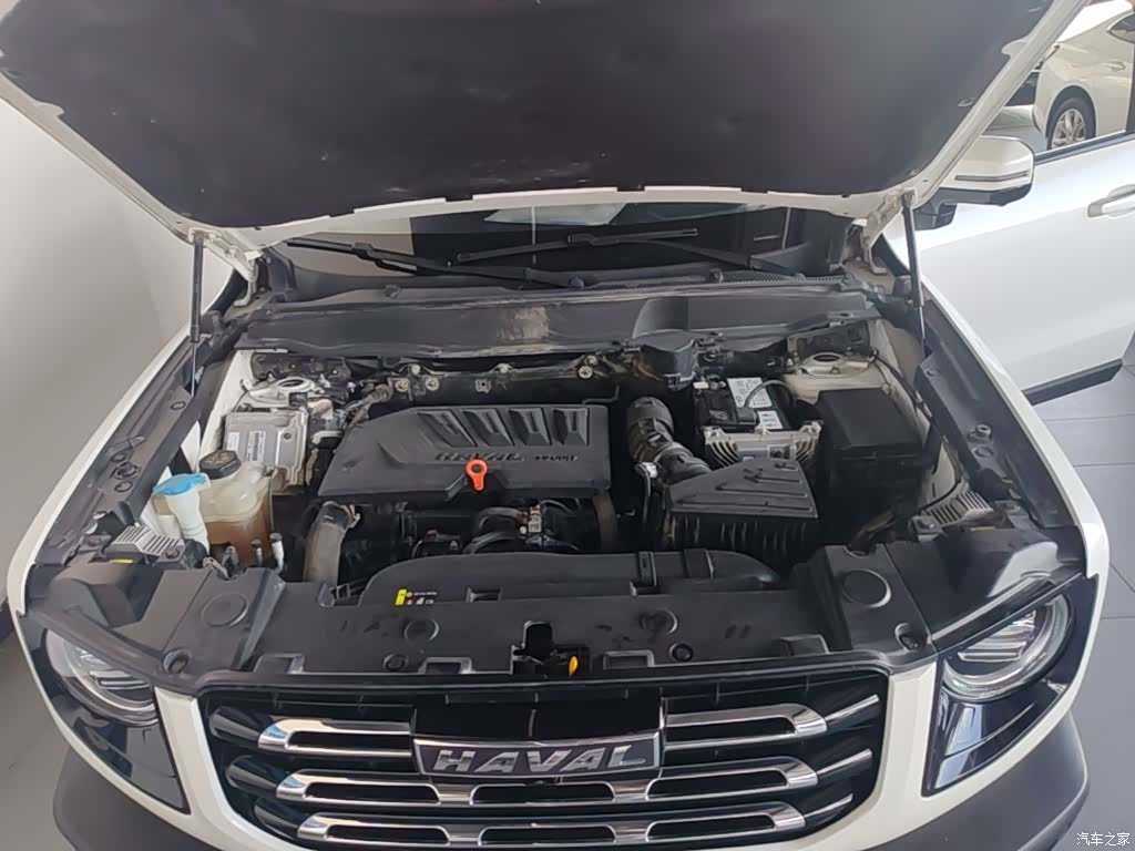 Haval Big Dog, 2022 20
