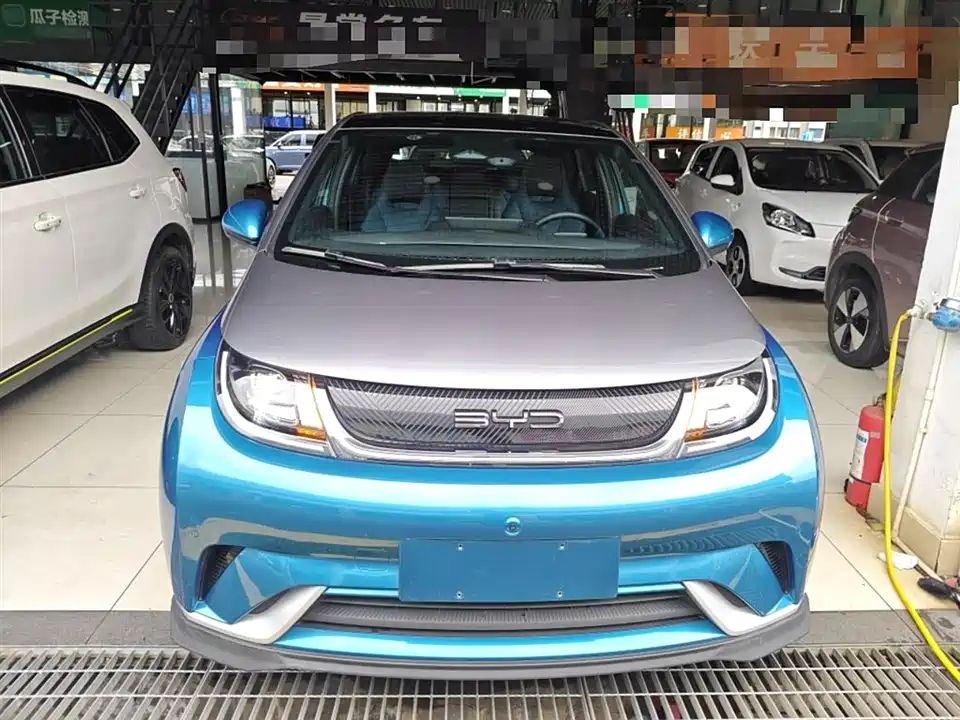 BYD dolphin