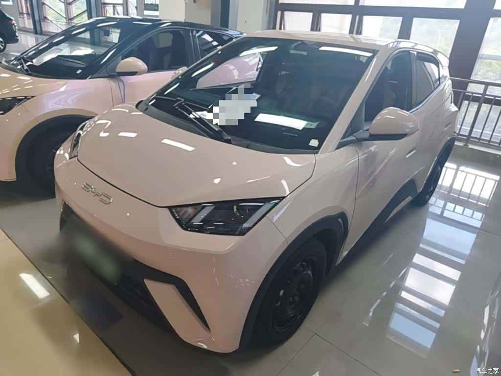 BYD Seagull, 2024 1