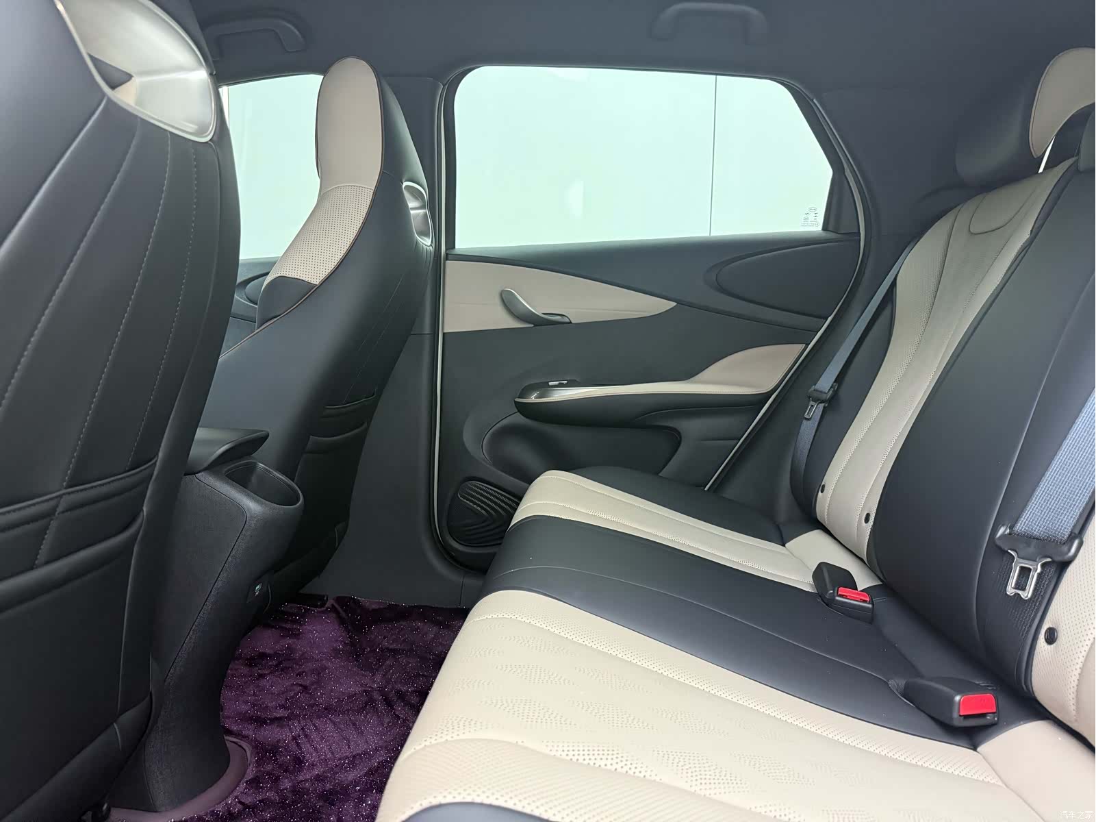 BYD Dolphin, 2026 10