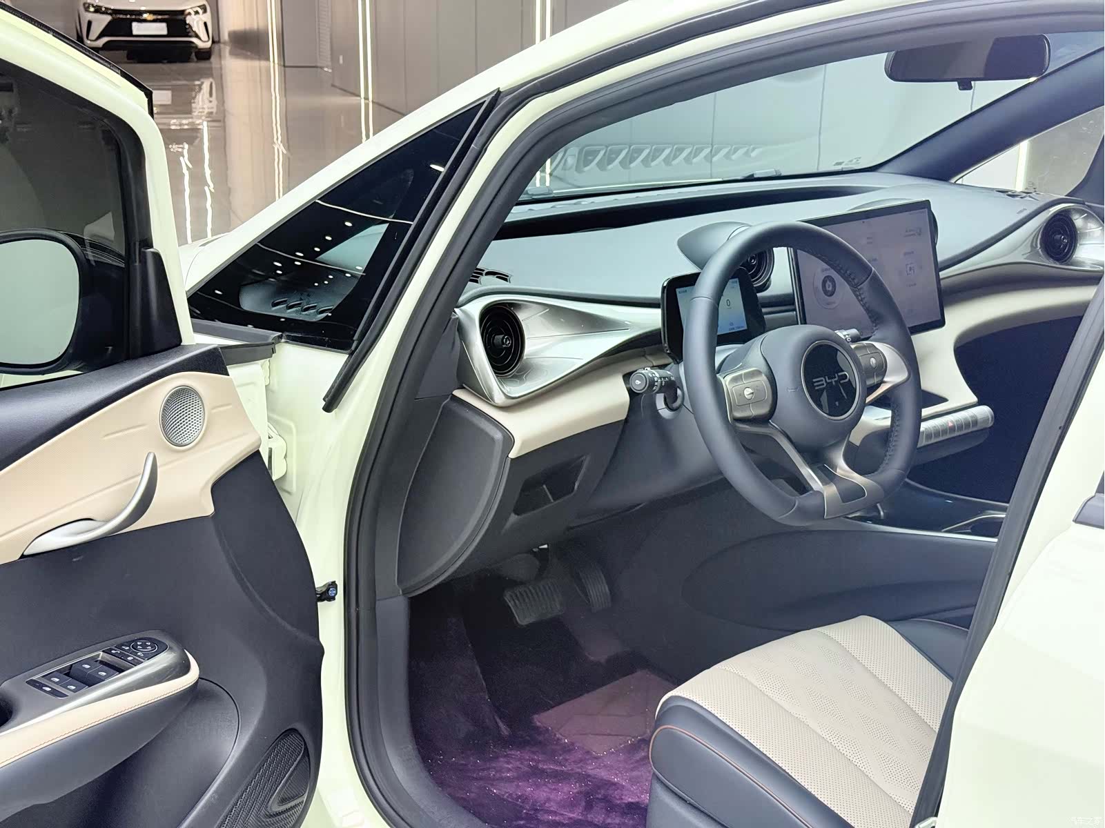 BYD Dolphin, 2026 4