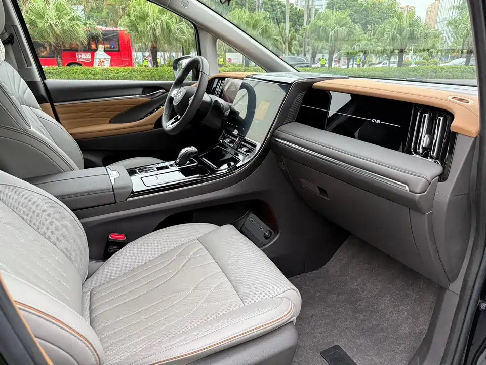 Trumpchi Trumpchi M8