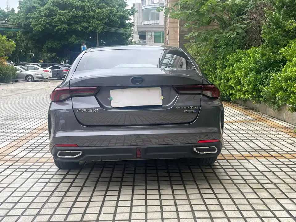 Trumpchi Shadow Leopard