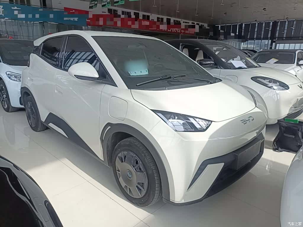 BYD Seagull, 2024 4