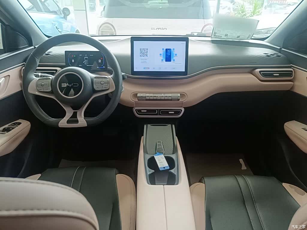 BYD Seagull, 2024 10